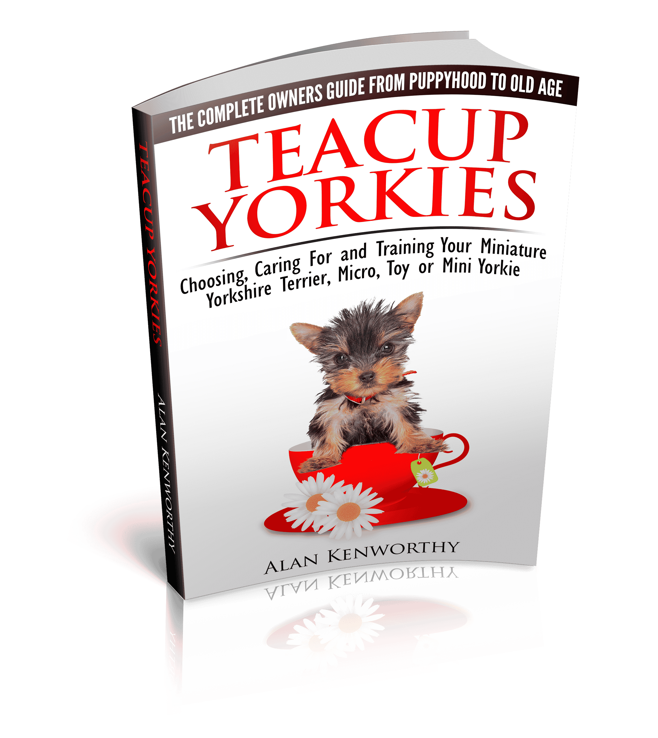 yorkie books teacup yorkie book yorkie books teacup yorkie book